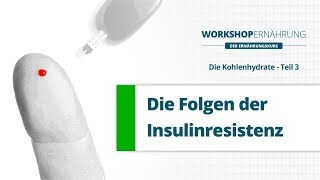 KOHLENHYDRATE 36 Die Folgen der Insulinresistenz Metabolisches Syndrom  Workshop Ernährung [upl. by Kehsihba]