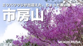 九州百名山「市房山」の旅【九州岳人】 [upl. by Douville]