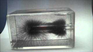 Magnetic Field lines 3D [upl. by Eirroc]