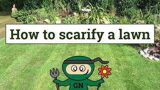 How to scarify a lawn [upl. by Atima]