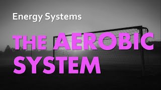 Aerobic System  Energy Systems 04  Anatomy amp Physiology [upl. by Turner]