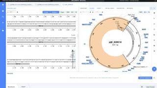 Benchling tutorial Recombinant Vector [upl. by Oiruam]