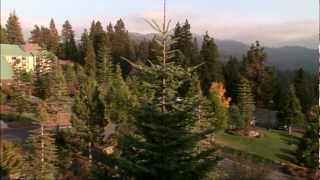 Tenaya Lodge at Yosemite National Park HD [upl. by Aoniak]