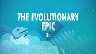 The Evolutionary Epic Crash Course Big History 5 [upl. by Ephraim]