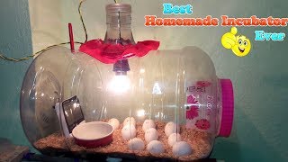 DIY  HOMEMADE INCUBATOR  HOW TO MAKE AN EGG INCUBATOR  HATCHING CHICKEN EGGS [upl. by Mariand]