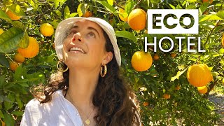 The Most Ecofriendly Hotel In Mallorca  Sustainable Travel amp EcoTourism [upl. by Cilegna]