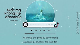 Vietsub Giấc Mơ Không Thể Đánh Thức Full Tiktok  Thập Nhị  醒不来的梦  拾贰！ [upl. by Fairleigh]