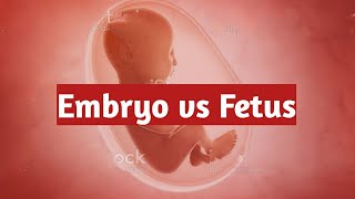 Embryo vs Fetus  Meaning and difference  Hindi [upl. by Nereen601]