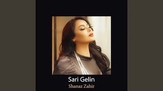 Sari Gelin Kurdish Live Performance [upl. by Mickey]