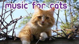 EXTREMELY Soothing Cat Therapy Music  Relax Your Cat [upl. by Rosenwald979]