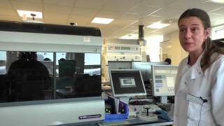 Flow Cytometry – Liliana Carvalho [upl. by Ecital]