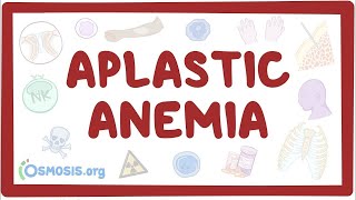 Aplastic anemia  an Osmosis Preview [upl. by Mills]