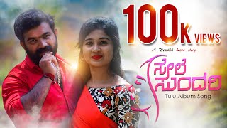 SELE SUNDARI  NEW TULU ALBUM SONG 2020  SANTHOSH BENKYA  HARSHITH SOMESHWARA [upl. by Orit]