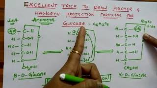 Fischer amp Haworth projection formulae for Glucose Biomolecules class 12 chemistry [upl. by Neveda57]