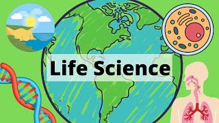 A Year of Life Science in 3 Minutes [upl. by Rania]