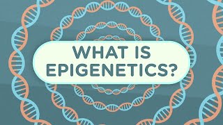 Epigenetics Explained  Penn Medicine [upl. by Tiram480]