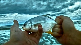 Myrtle Beach Surf FishingCatching Whiting and Pompano [upl. by Croft]