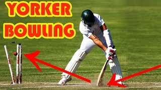 How To Bowl A Perfect Yorker In Cricket  Tips For Bowling Yorker In Hindi [upl. by Parik983]