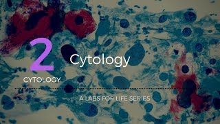 Cytology [upl. by Gula]