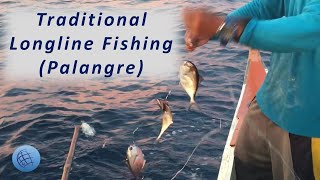 Longline Fishing in the Philippine Province of Mindanao [upl. by Orpheus]