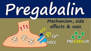 Pregabalin  Mechanism side effect and uses [upl. by Hylan973]