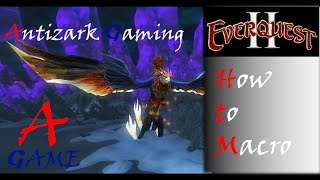 How to Macro in EQ2 [upl. by Kcerred204]