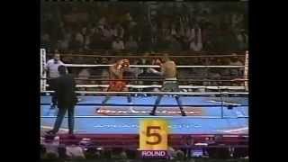 Roy Jones Jr vs Vinny Pazienza 2461995  IBF World Super Middleweight Championship [upl. by Cassius531]