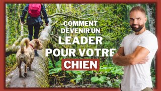 Comment être un bon maître pour son chien [upl. by Schaper]