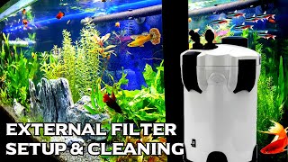 Canister Filter For Aquarium Setup and Cleaning [upl. by Wynny]