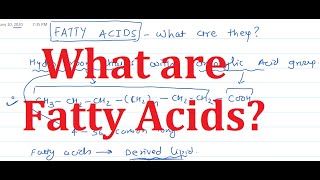 3 Fatty Acids What are they [upl. by Faubert]