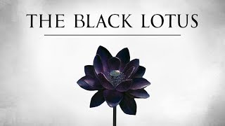 The Black Lotus  A History of Magics Most Valuable Card [upl. by Aigil]