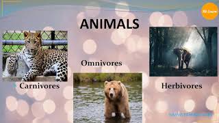 Animals Herbivores Carnivores Omnivores and Scavengers [upl. by Platt]