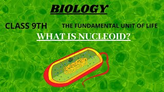 WHAT IS NUCLEOID  CELL  SIMPLEST WAY TO LEARN  NCERT  BIOSCIFY [upl. by Vale]