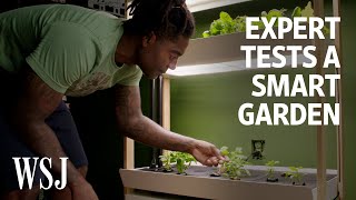 Can an Indoor Smart Garden Beat Outdoor Gardening We Tested It  WSJ [upl. by Kaycee]