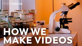 What Microscope Do We Use And Other Frequently Asked Questions [upl. by Adekram]