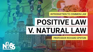 Positive Law v Natural Law Introduction to Common Law [upl. by Nauquf81]