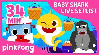 Baby Shark and more  Baby Shark LIVE Setlist  Compilation  Pinkfong Shows for Children [upl. by Yasibit]