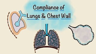 Lung and Chest wall Compliance  Breathing Mechanics  Respiratory Physiology [upl. by Skyler]