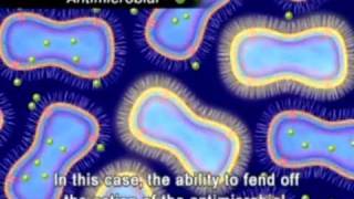 The Animation of Antimicrobial Resistance [upl. by Nhojleahcim169]