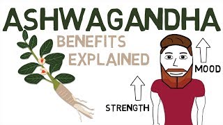 ASHWAGANDHA BENEFITS What Ashwagandha Is And How It Works [upl. by Leary317]