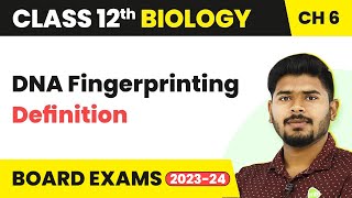 DNA Fingerprinting Definition  Molecular Basis of Inheritance  Class 12 Biology 202223 [upl. by Airol]