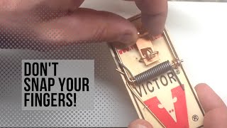 How to Set a Victor Mouse Trap [upl. by Ornas715]