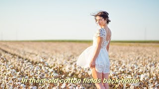 Cotton Fields 1969  CREEDENCE CLEARWATER REVIVAL CCR  Lyrics [upl. by Ahsiei]