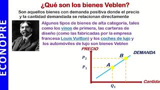 BIENES GIFFEN Y VEBLEN [upl. by Wilbur15]