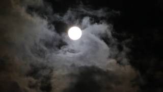 Moon Night Darkness Night Sky Full Moon Sky No Copyright Video [upl. by Nosyaj]