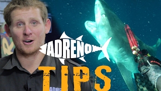 Spearfishing with Sharks Tigers White Pointers Bullsharks  ADRENO [upl. by Reimer]