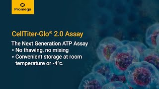 CellTiter Glo® 2 0 Cell Viability Assay [upl. by Pasadis]