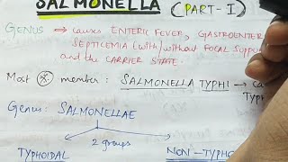 Salmonella  Part 1   Microbiology  Handwritten notes [upl. by Thornie]