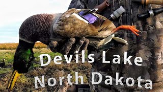 North Dakota Duck Hunting [upl. by Aikin]