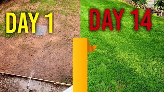 Watering new grass seed day 1 7 14  4 Week Time Lapse [upl. by Ladnik]